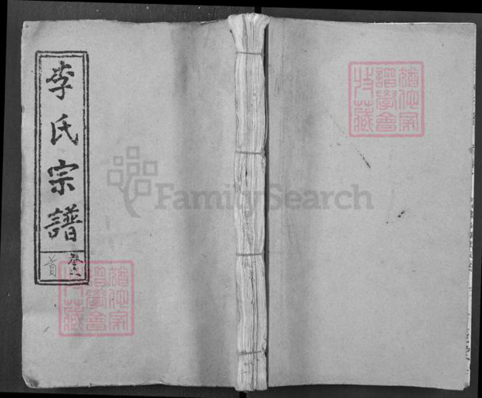 湖北省黄冈市麻城市李氏青莲堂族谱-李氏智殷公宗谱.pdf电子版插图