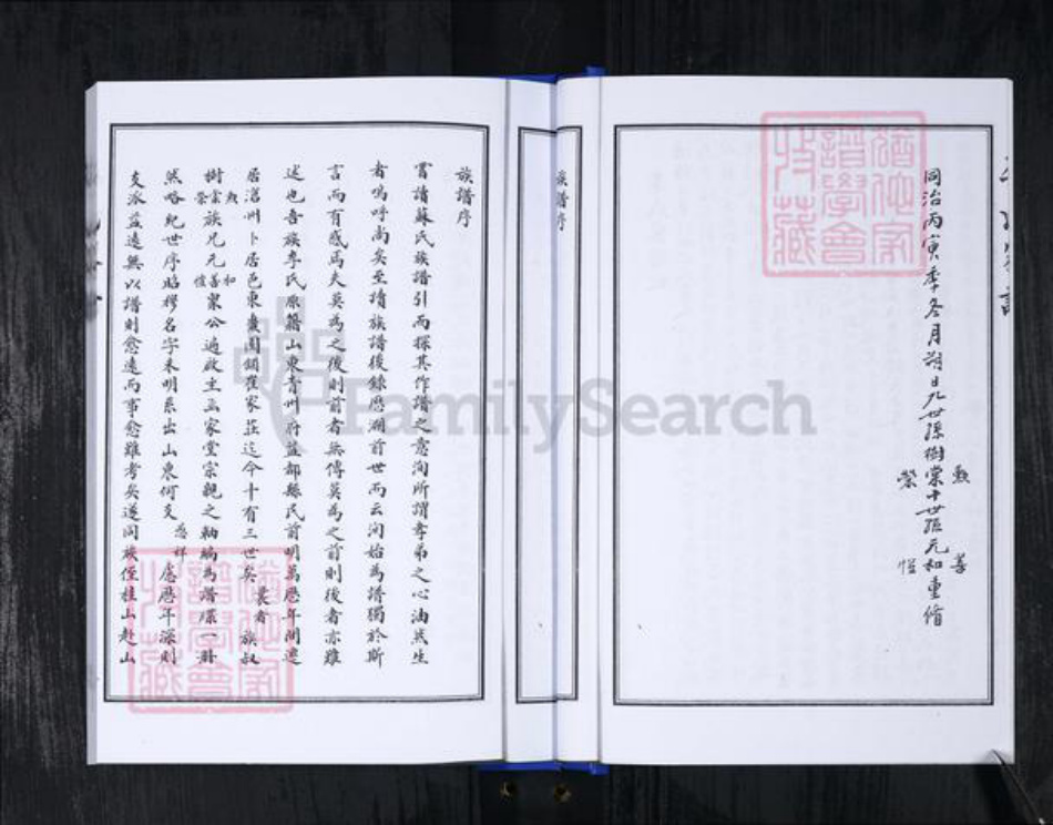 山东省青岛市崂山区李氏族谱-李氏家谱.pdf电子版插图5
