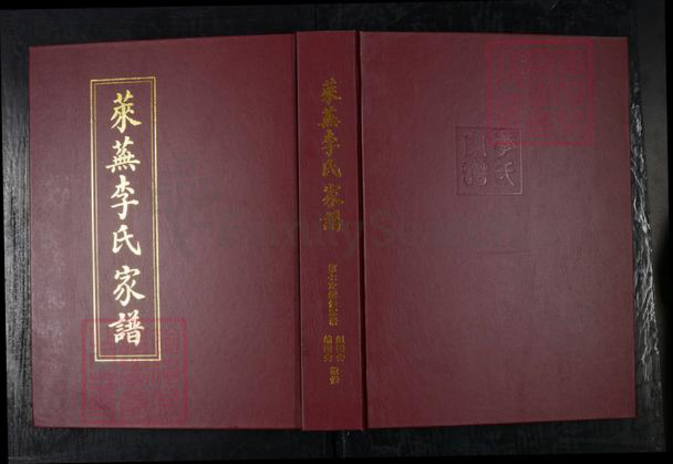 山东省济南市莱芜区杨庄镇李氏陇西堂族谱-莱芜李氏家谱.pdf电子版插图