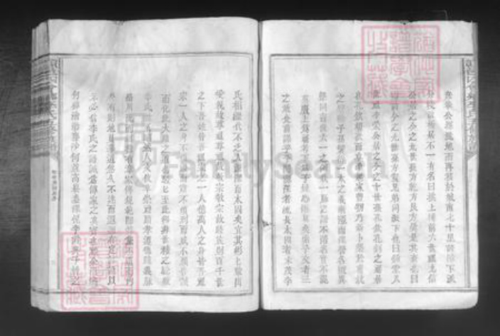 江西省赣州市赣县区李氏族谱-𫎬邑四会乡李氏五修族谱.pdf电子版插图4