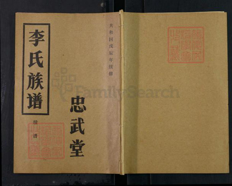 湖北省仙桃市毛嘴镇李氏忠武堂族谱-李氏族谱.pdf电子版插图