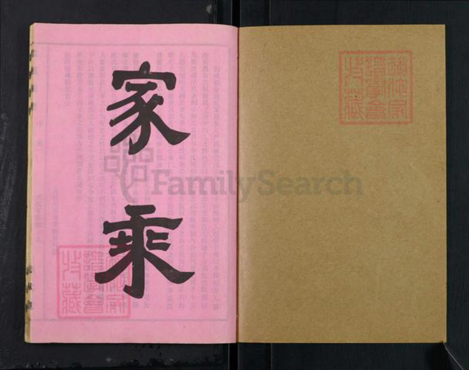 湖北省仙桃市毛嘴镇李氏忠武堂族谱-李氏族谱.pdf电子版插图1