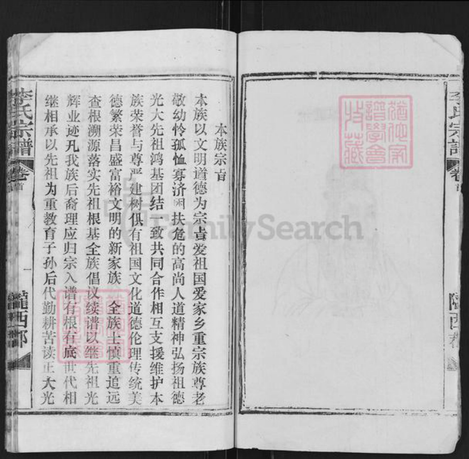 湖北省武汉市黄陂区祁家湾街道李氏族谱-李氏宗谱.pdf电子版插图4