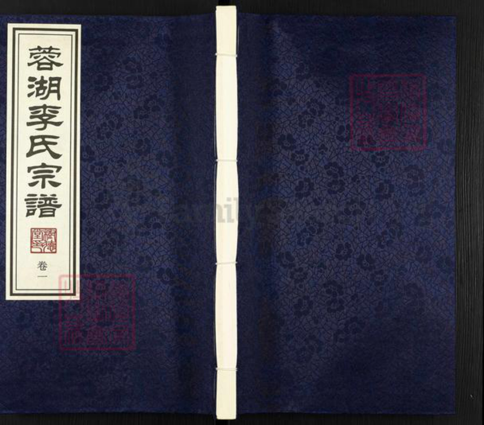 江苏省常州市武进县李氏树德堂族谱-蓉湖李氏宗谱.pdf电子版插图