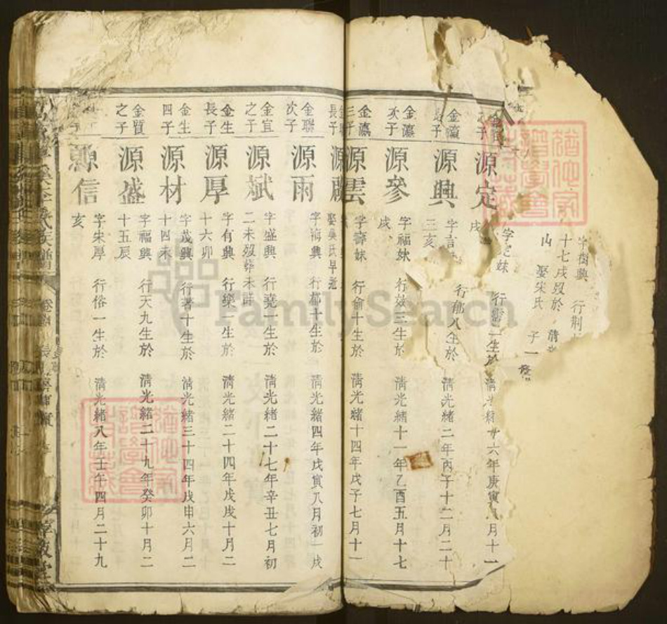 江西省赣州市于都县车溪乡李氏惇叙堂族谱-万载车溪李氏族谱.pdf电子版插图2