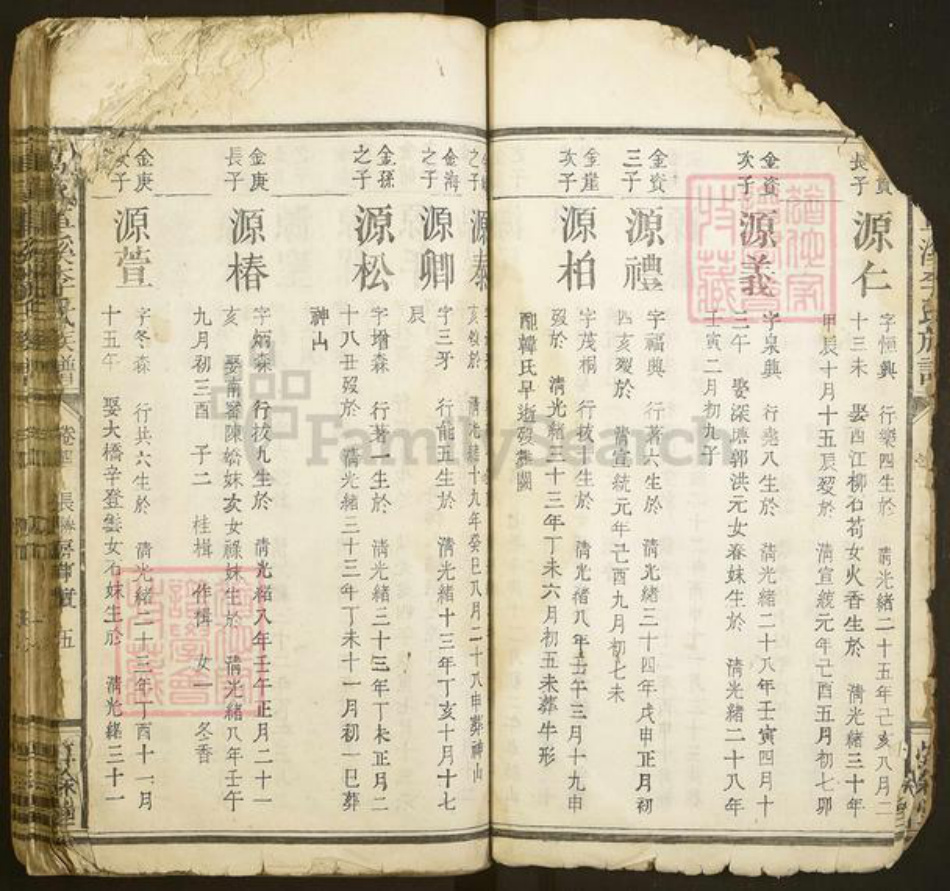 江西省赣州市于都县车溪乡李氏惇叙堂族谱-万载车溪李氏族谱.pdf电子版插图5