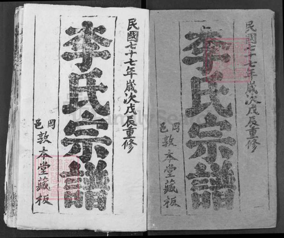 湖北省武汉市新洲区李氏敦本堂族谱-李氏宗谱.pdf电子版插图1