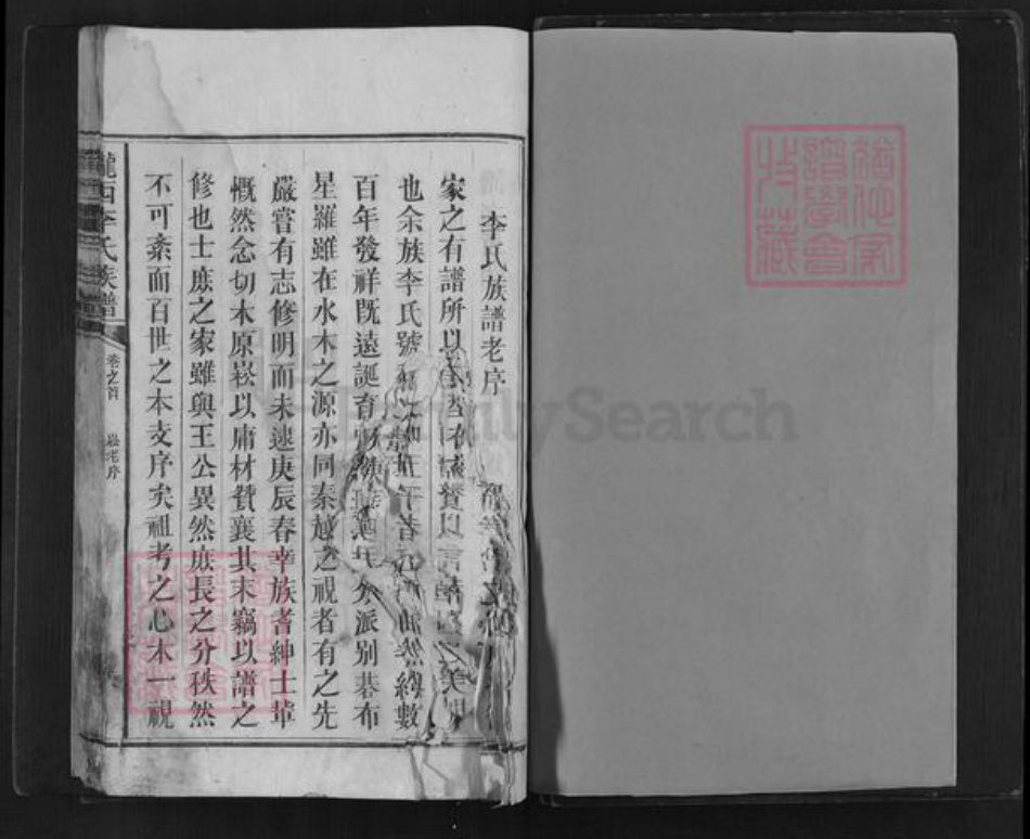 湖南省邵阳市新邵县李氏族谱-陇西李氏族谱.pdf电子版插图1