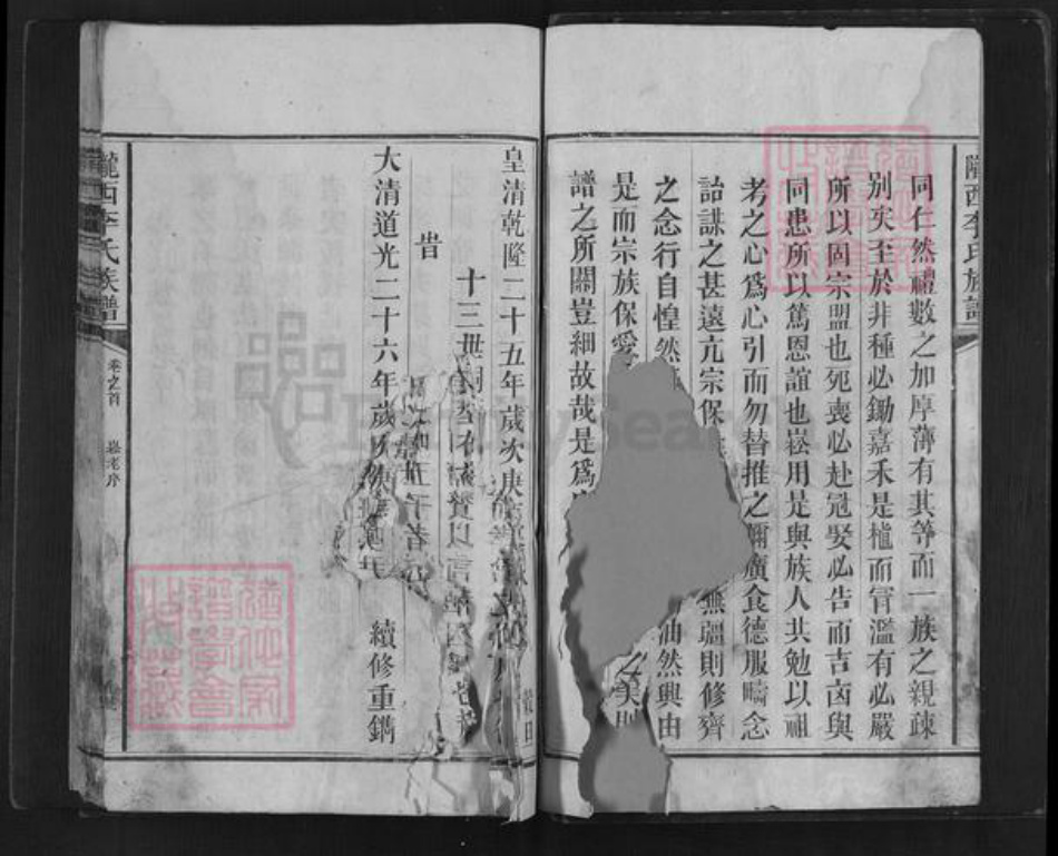 湖南省邵阳市新邵县李氏族谱-陇西李氏族谱.pdf电子版插图2