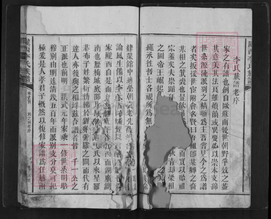 湖南省邵阳市新邵县李氏族谱-陇西李氏族谱.pdf电子版插图3