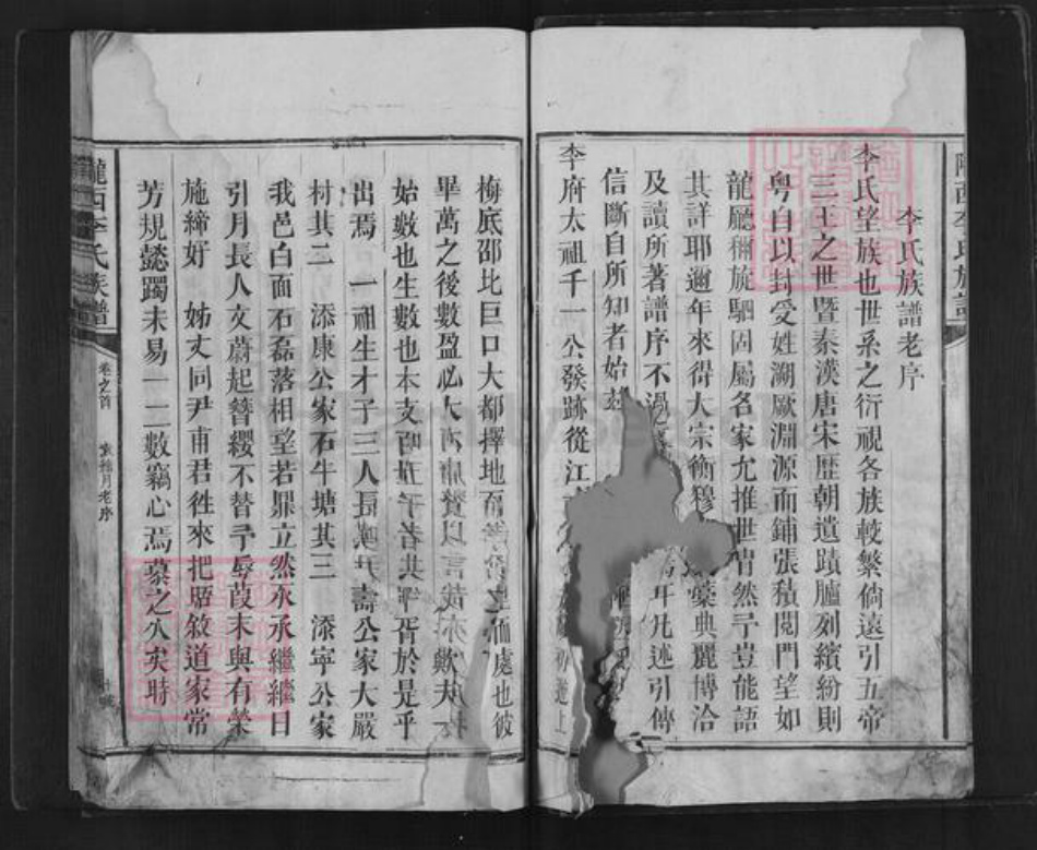 湖南省邵阳市新邵县李氏族谱-陇西李氏族谱.pdf电子版插图5