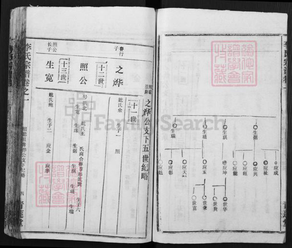 湖北省黄冈市李氏青莲堂族谱-李氏宗谱.pdf电子版插图4