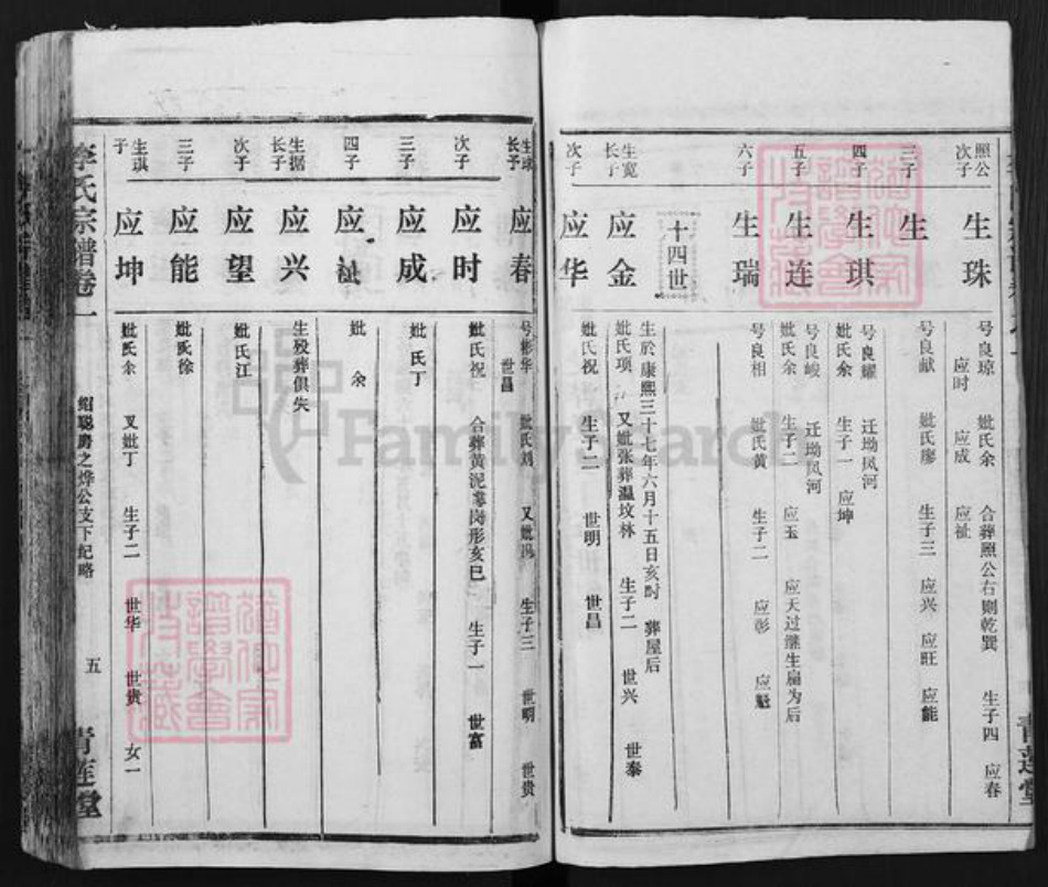 湖北省黄冈市李氏青莲堂族谱-李氏宗谱.pdf电子版插图5