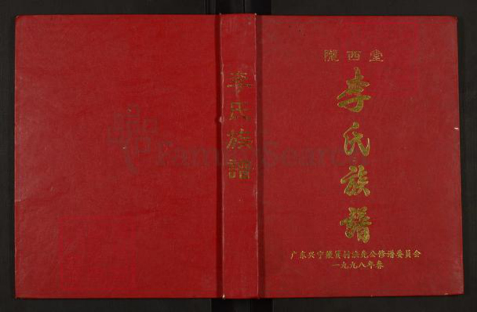 广东省梅州市兴宁市李氏陇西堂族谱-李氏宗谱.pdf电子版插图