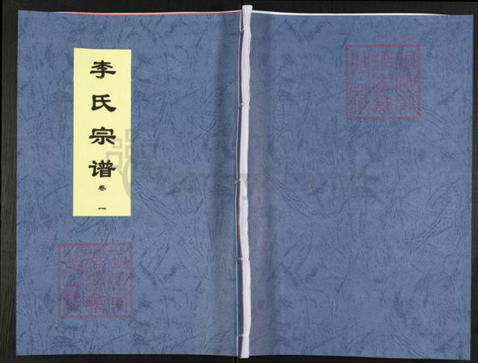 安徽省合肥市肥西县李氏诗酒堂族谱-李氏宗谱.pdf电子版插图