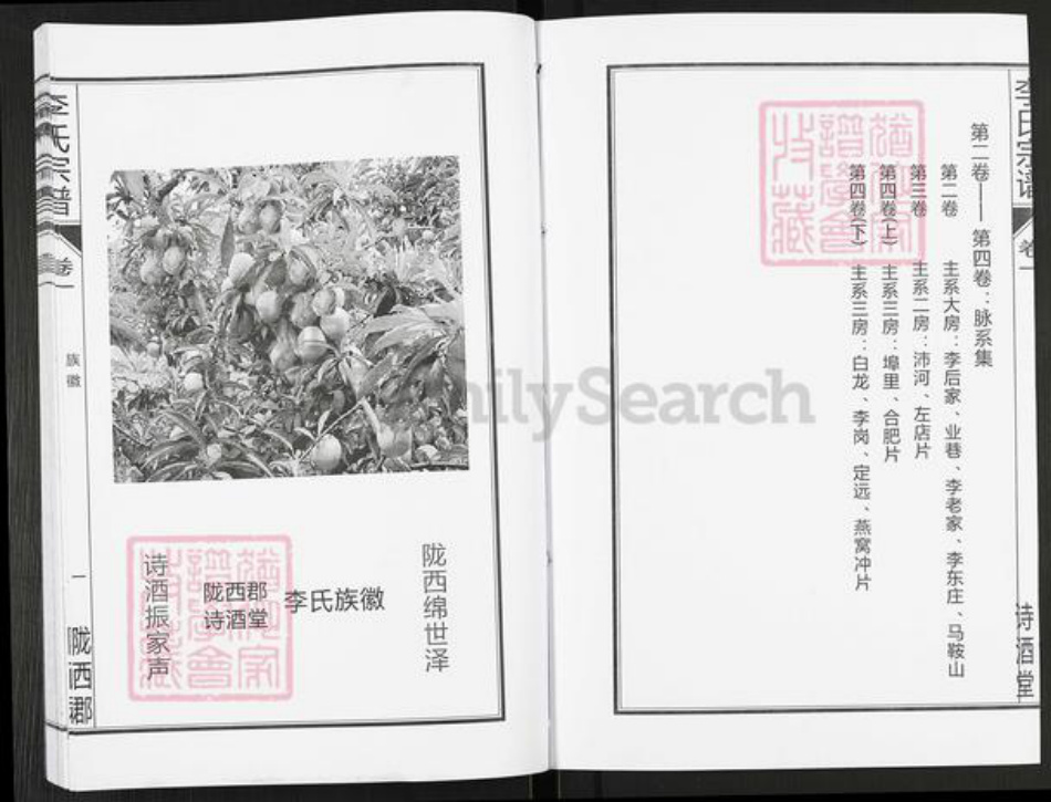 安徽省合肥市肥西县李氏诗酒堂族谱-李氏宗谱.pdf电子版插图3