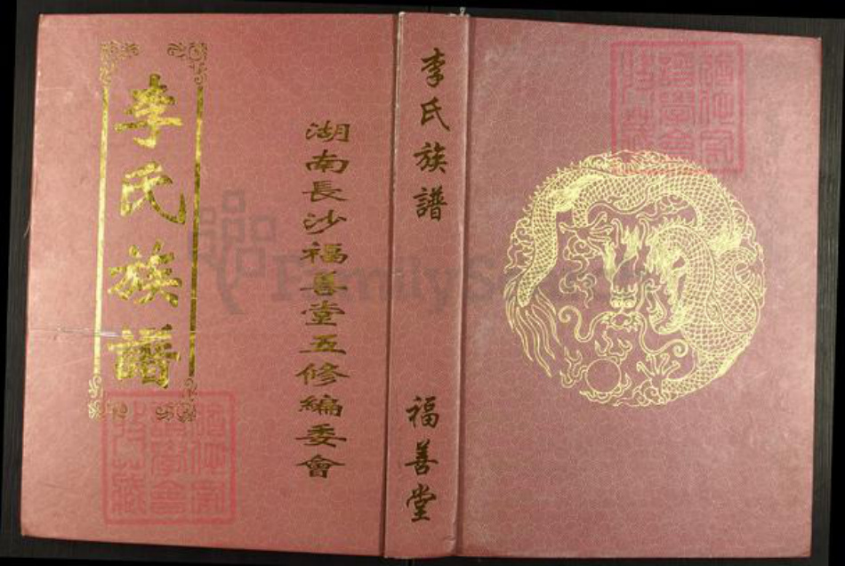 湖南省长沙市望城区李氏福善堂族谱-李氏福善堂族谱.湖南长沙占春公支系.pdf电子版插图