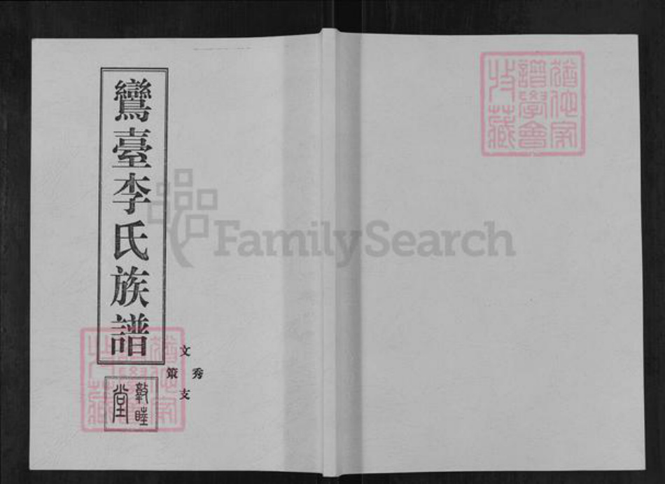 山东省德州市齐河县马集镇李氏敦睦堂族谱-鸾台李氏族谱.pdf电子版插图