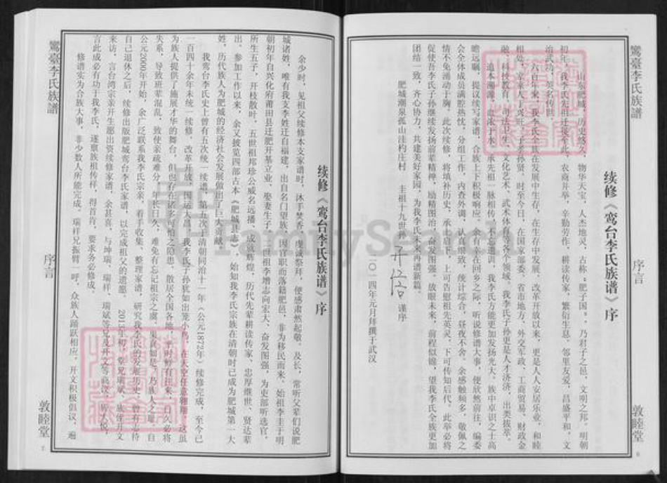 山东省德州市齐河县马集镇李氏敦睦堂族谱-鸾台李氏族谱.pdf电子版插图4
