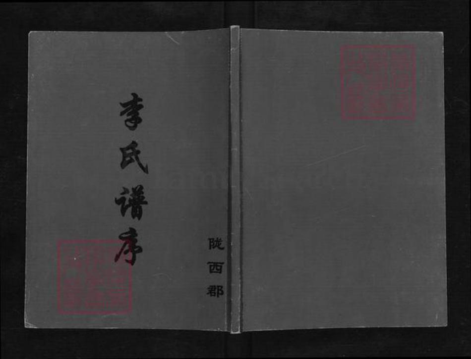 江苏省盐城市亭湖区李氏陇西堂族谱-李氏谱序.pdf电子版插图