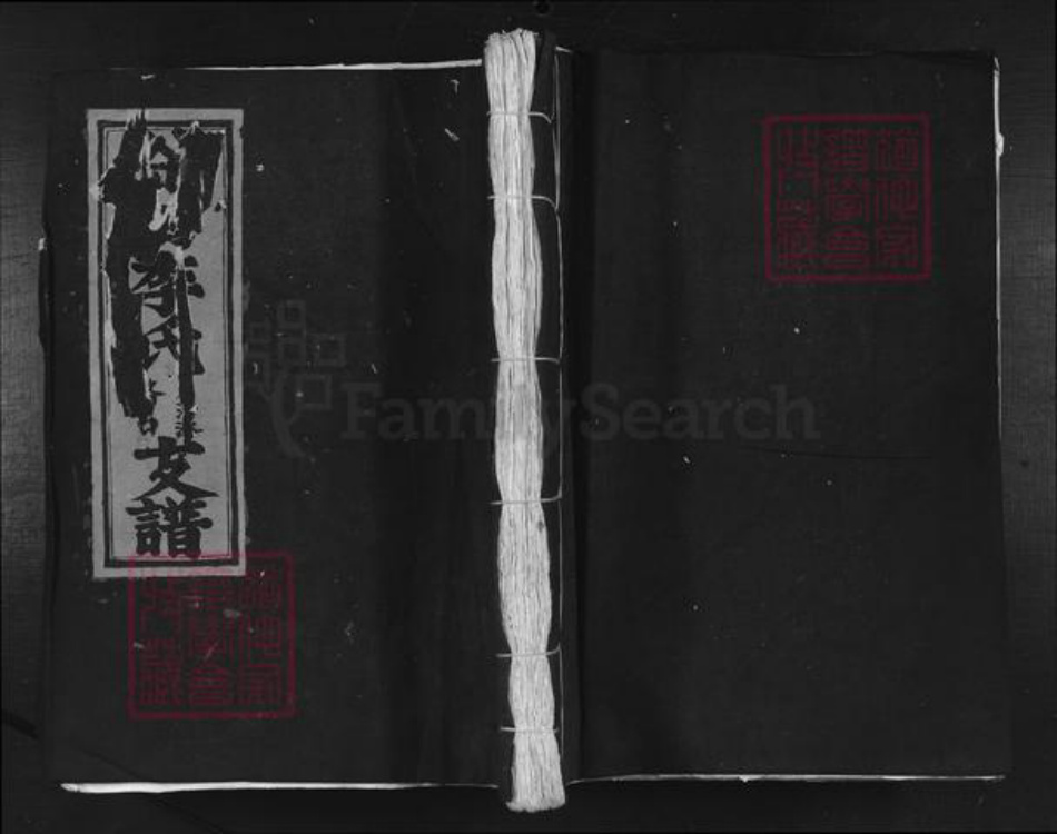 江西省吉安市吉水县李氏族谱-谷村李氏月洲派路口支谱.pdf电子版插图