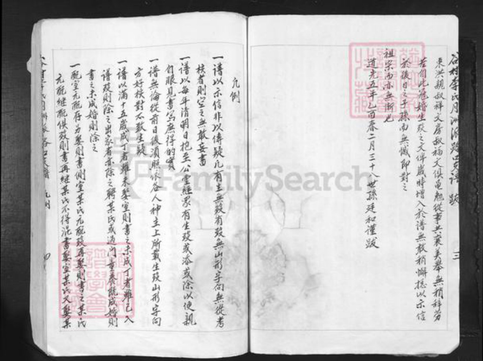 江西省吉安市吉水县李氏族谱-谷村李氏月洲派路口支谱.pdf电子版插图4