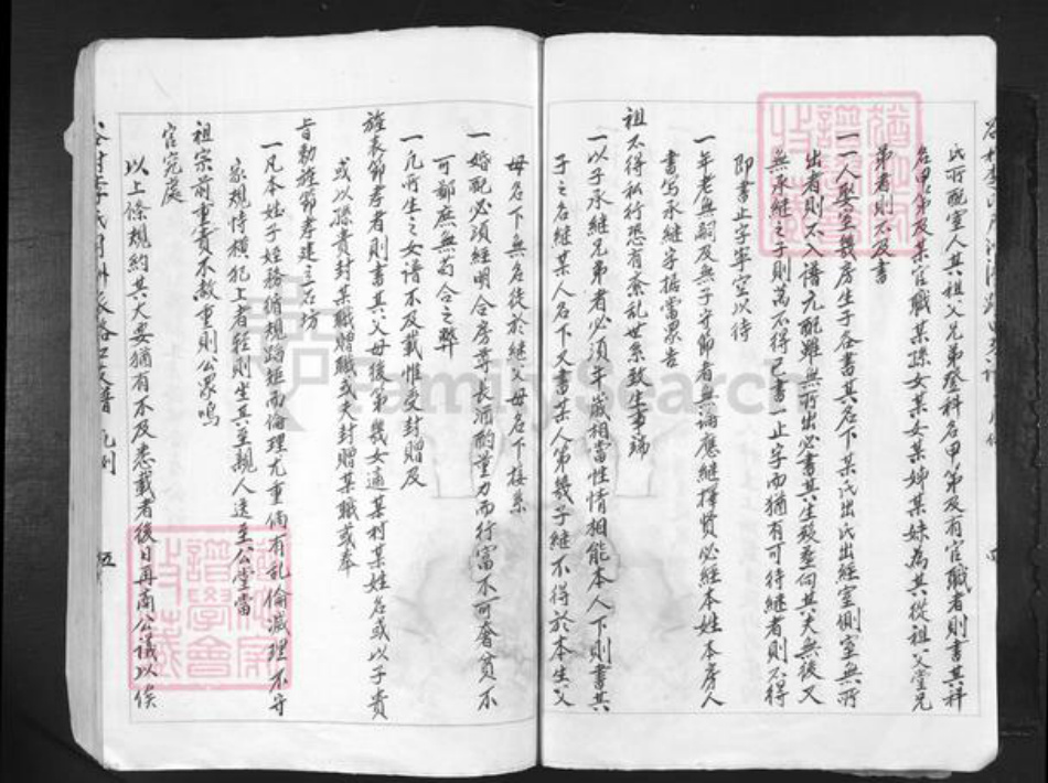 江西省吉安市吉水县李氏族谱-谷村李氏月洲派路口支谱.pdf电子版插图5