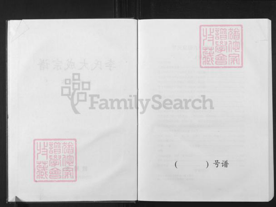 安徽省安庆市怀宁县石牌镇李氏敦睦堂族谱-李氏大成宗谱.pdf电子版插图2