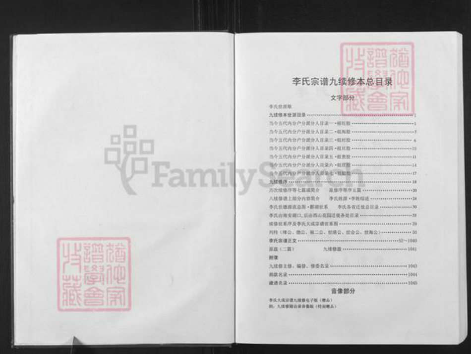 安徽省安庆市怀宁县石牌镇李氏敦睦堂族谱-李氏大成宗谱.pdf电子版插图3