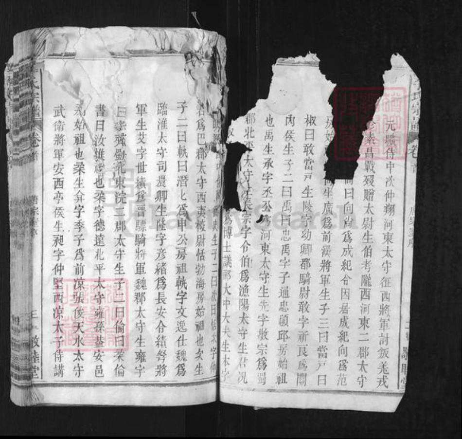 湖北省黄冈市黄梅县独山镇李氏敬睦堂族谱-李氏宗谱.pdf电子版插图2