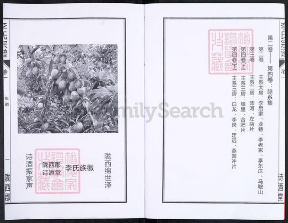 安徽省合肥市肥西县花岗镇李氏诗酒堂族谱-李氏宗谱.pdf电子版插图3