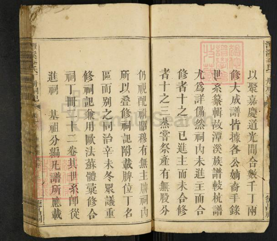福建省龙岩市上杭县稔田镇李氏族谱-潭溪李氏丁册祠记.pdf电子版插图3