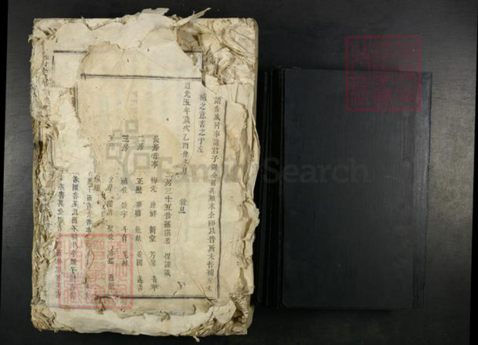 江西省吉安市吉水县李氏族谱-谷村李氏月州派谱.pdf电子版插图1