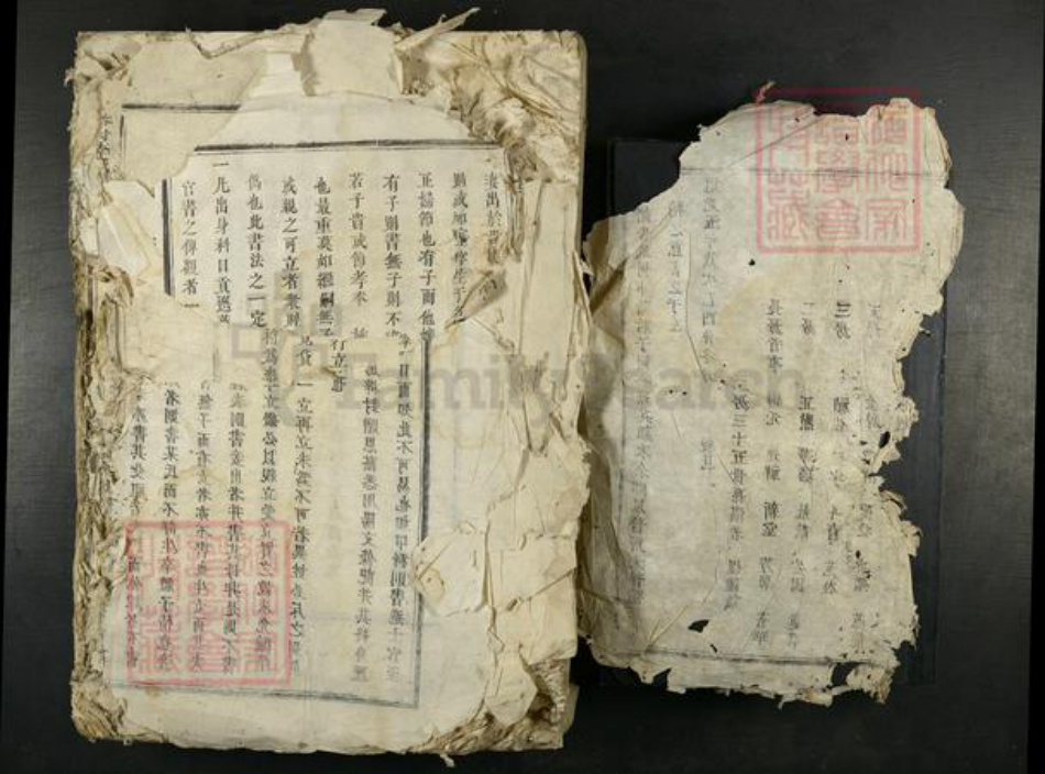 江西省吉安市吉水县李氏族谱-谷村李氏月州派谱.pdf电子版插图2