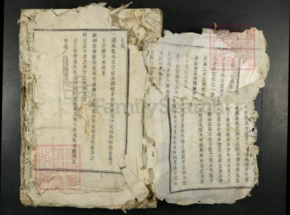 江西省吉安市吉水县李氏族谱-谷村李氏月州派谱.pdf电子版插图3