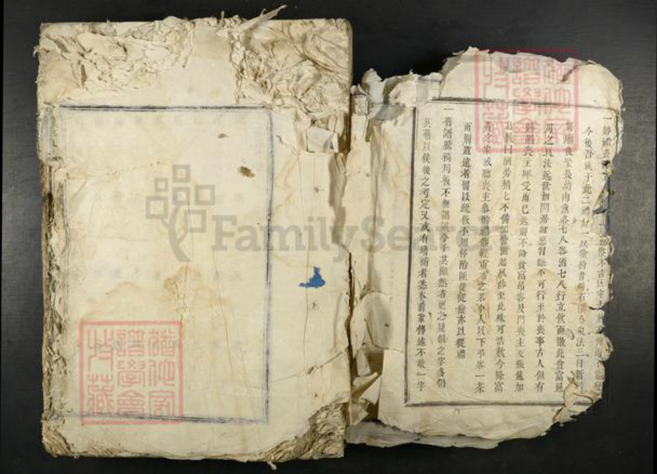 江西省吉安市吉水县李氏族谱-谷村李氏月州派谱.pdf电子版插图4