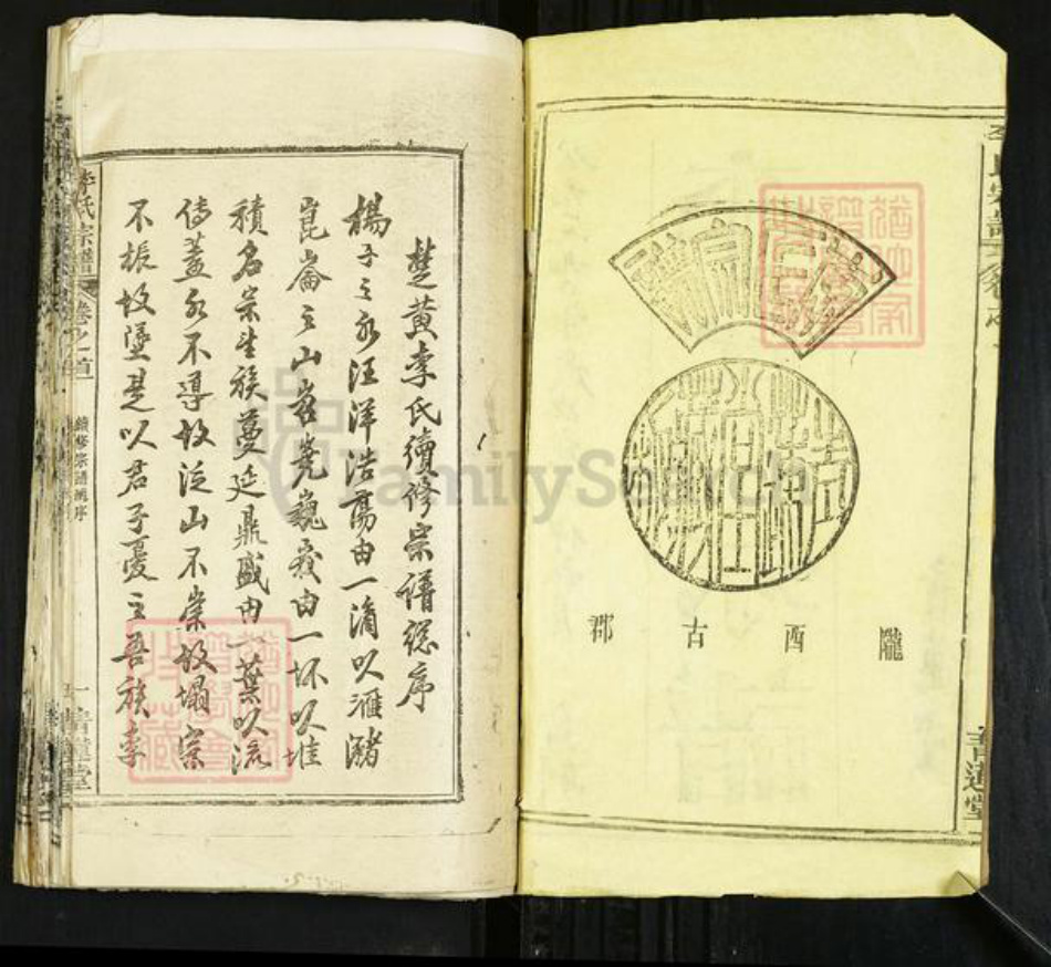 湖北省黄冈市麻城市李氏青莲堂族谱-李氏宗谱.pdf电子版插图2