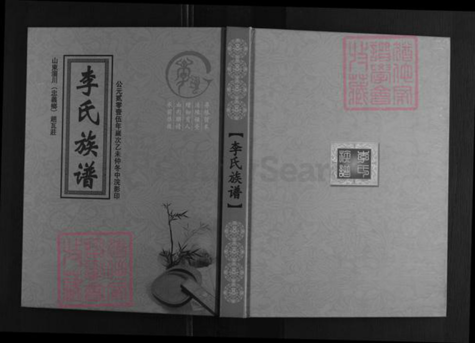 山东省淄博市淄川区李氏族谱-李氏族谱.pdf电子版插图