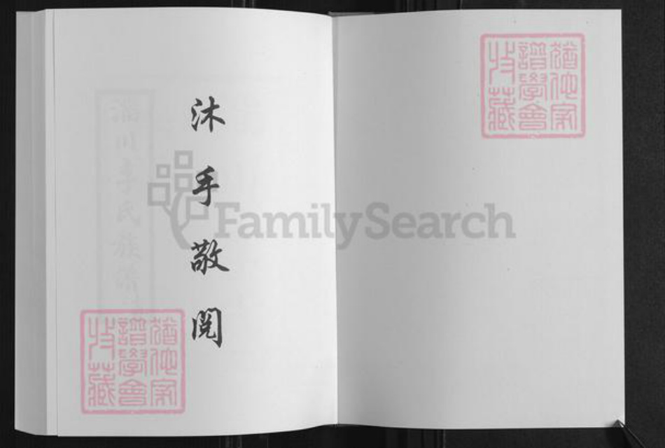 山东省淄博市淄川区李氏族谱-李氏族谱.pdf电子版插图1