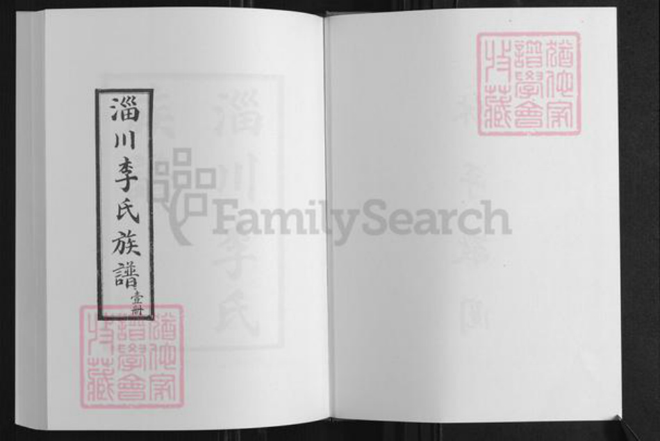 山东省淄博市淄川区李氏族谱-李氏族谱.pdf电子版插图2