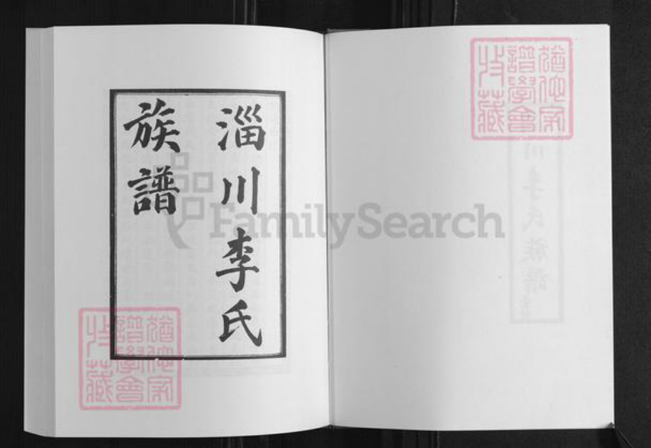 山东省淄博市淄川区李氏族谱-李氏族谱.pdf电子版插图3