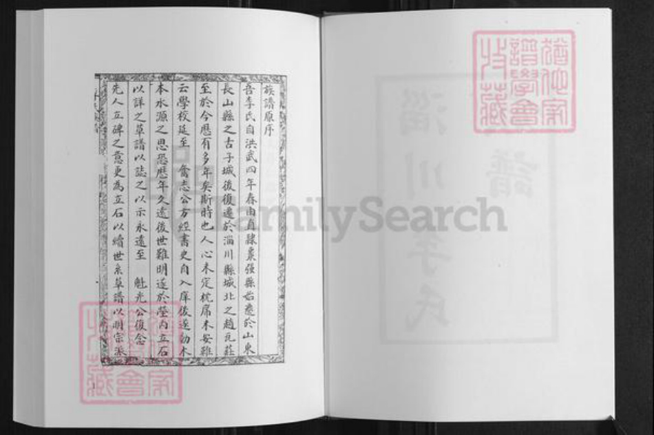山东省淄博市淄川区李氏族谱-李氏族谱.pdf电子版插图4