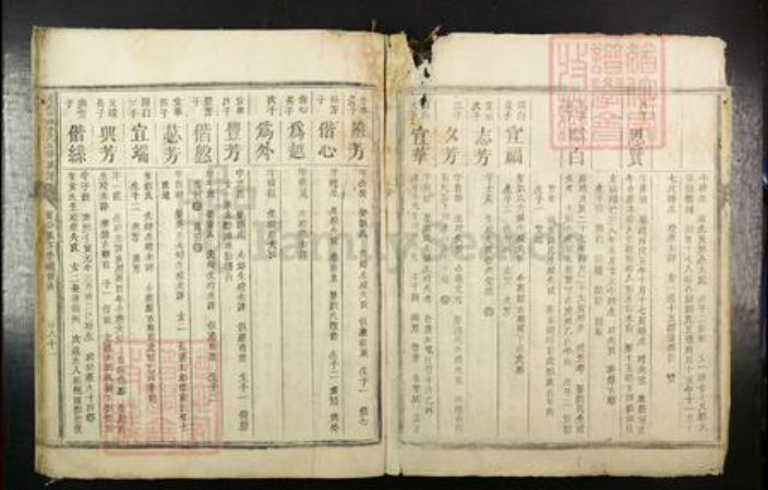 江西省赣州市于都县贡江镇李氏族谱-虔南中牌李氏五修族谱.pdf电子版插图2