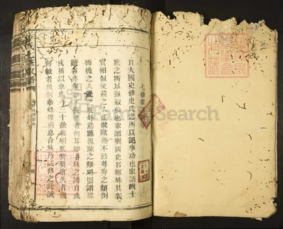 广东省清远市阳山县太平镇李氏族谱-李氏七修家谱.pdf电子版插图2