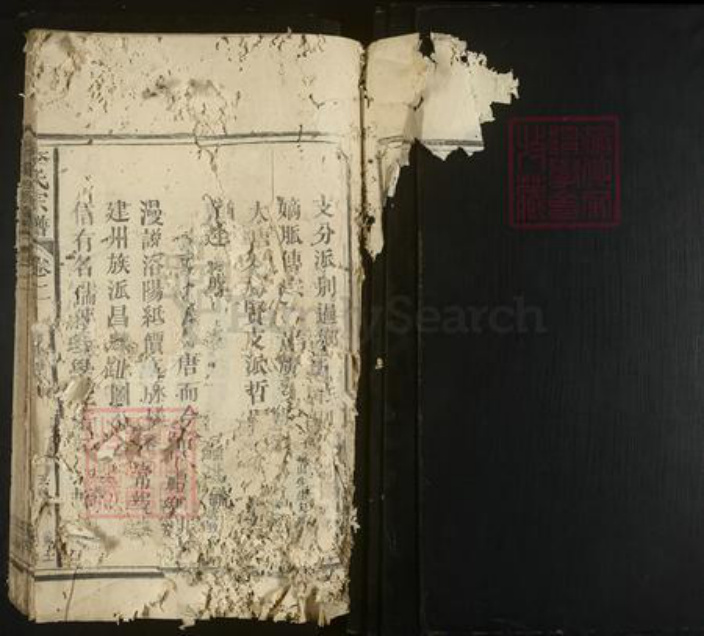 福建省李氏族谱-李氏宗谱.pdf电子版插图1