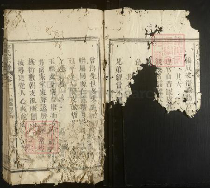 福建省李氏族谱-李氏宗谱.pdf电子版插图2