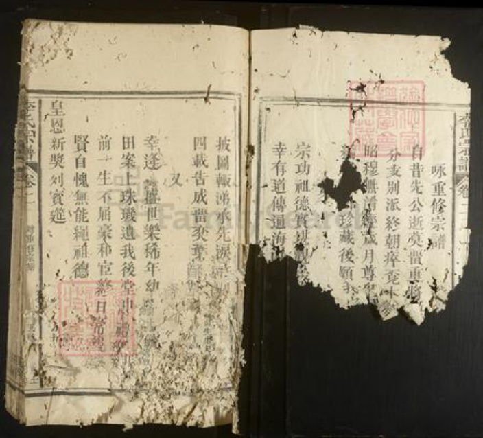 福建省李氏族谱-李氏宗谱.pdf电子版插图3