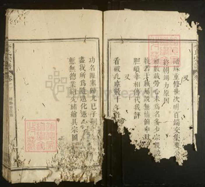 福建省李氏族谱-李氏宗谱.pdf电子版插图5
