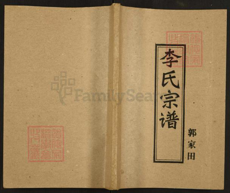 湖北省武汉市湖北省武汉市李氏陇西堂族谱-李氏宗谱.pdf电子版插图