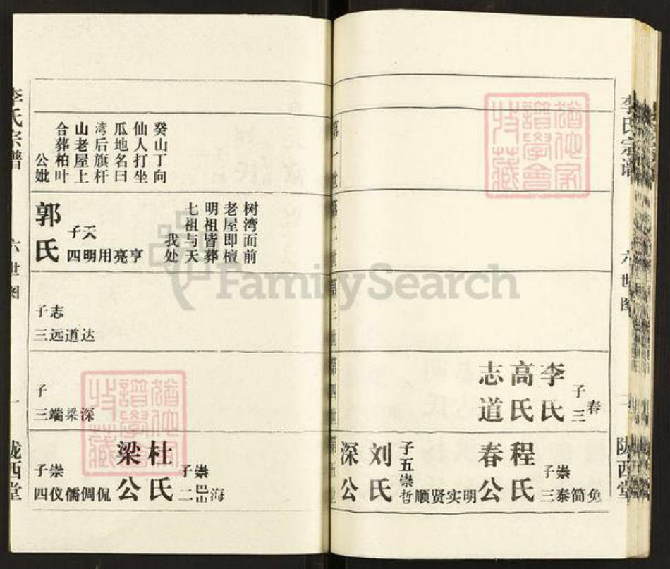 湖北省武汉市湖北省武汉市李氏陇西堂族谱-李氏宗谱.pdf电子版插图2